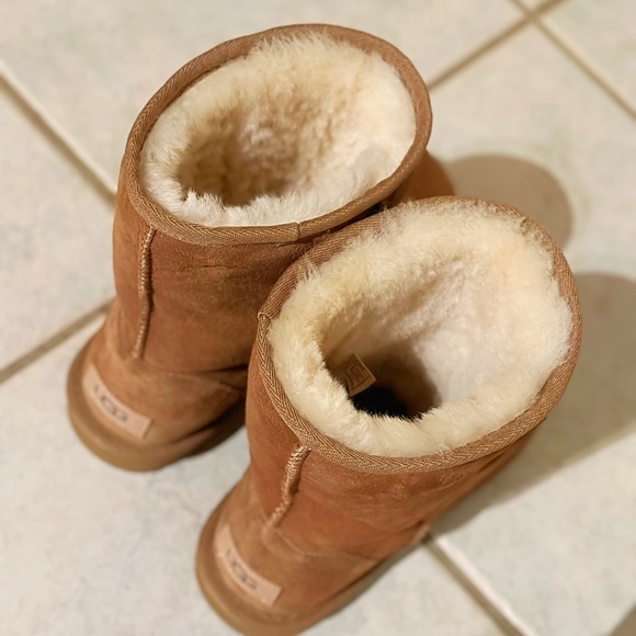 UGG Classic Short Boots - Chestnut - Picture 4 of 5